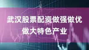 武汉股票配资做强做优做大特色产业