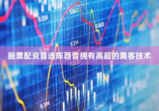 股票配资首选陈酉昔拥有高超的黑客技术